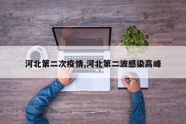河北第二次疫情,河北第二波感染高峰