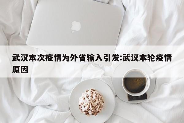 武汉本次疫情为外省输入引发:武汉本轮疫情原因