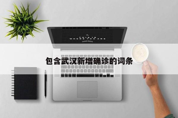 包含武汉新增确诊的词条