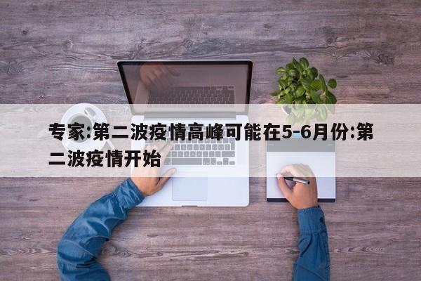 专家:第二波疫情高峰可能在5-6月份:第二波疫情开始